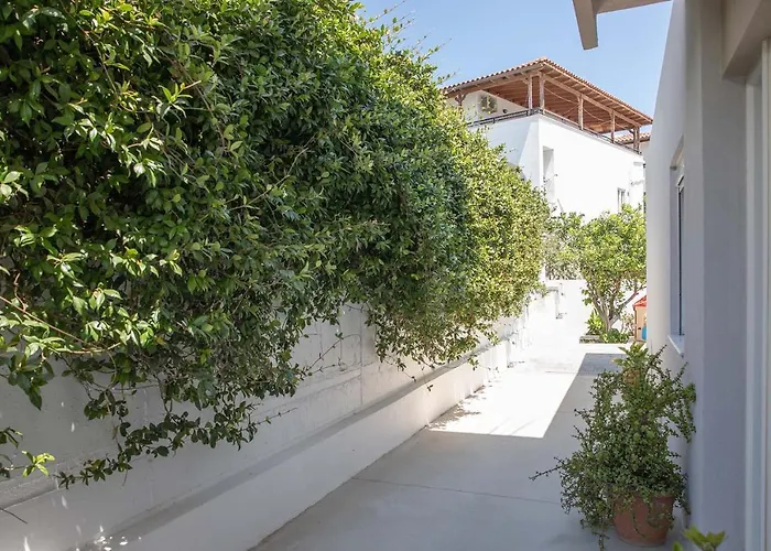 The Back Yard Apartment