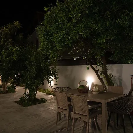 The Back Yard