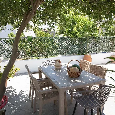 The Back Yard